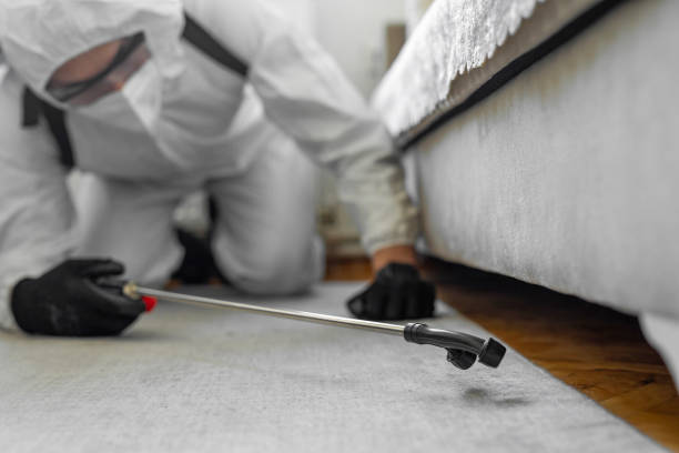 Professional Bed Bug Control technician working in Fairmount, IN