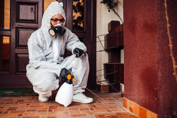 Reliable Bed Bug Control contractor in Fairmount, IN by Nex Pest Control