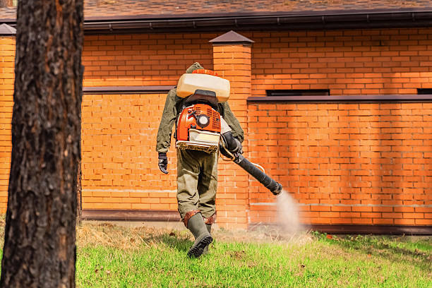 Top rated local Bed Bug Control specialists in Fairmount, IN